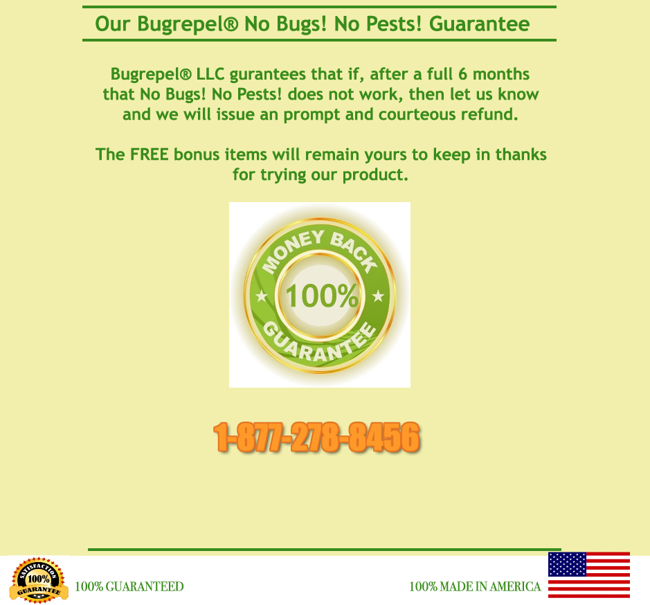 100% MADE IN AMERICA